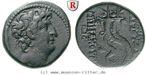 Klicken Sie auf das Bild um es auf Ihrem Rechner zu speichern syrien-antiochos-viii-bronze/86844.jpg