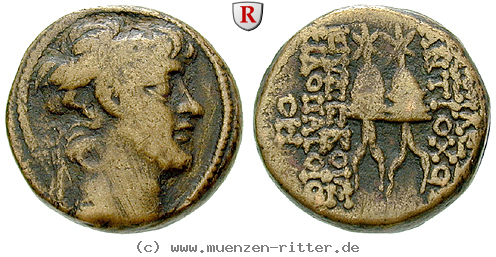 Klicken Sie auf das Bild um es auf Ihrem Rechner zu speichern syrien-antiochos-x-bronze/66449.jpg