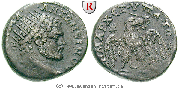 Klicken Sie auf das Bild um es auf Ihrem Rechner zu speichern syrien-caracalla-tetradrachme/67424.jpg
