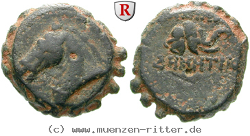 Klicken Sie auf das Bild um es auf Ihrem Rechner zu speichern syrien-demetrios-i-bronze/egri7647.jpg