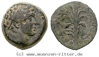 Klicken Sie auf das Bild um es auf Ihrem Rechner zu speichern syrien-demetrios-ii--1-regierung-bronze/24776.jpg