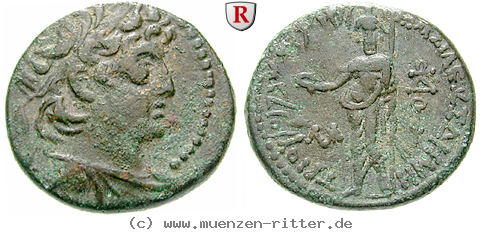 Klicken Sie auf das Bild um es auf Ihrem Rechner zu speichern syrien-demetrios-ii--1-regierung-bronze/egri7598.jpg
