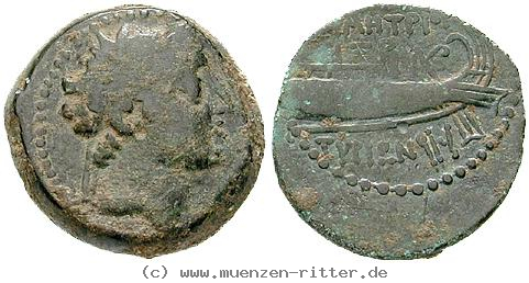 syrien-demetrios-ii--1-regierung-bronze/egri8158.jpg