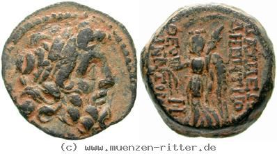 Klicken Sie auf das Bild um es auf Ihrem Rechner zu speichern syrien-demetrios-ii--2-regierung-bronze/egri7675.jpg
