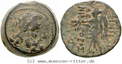 Klicken Sie auf das Bild um es auf Ihrem Rechner zu speichern syrien-demetrios-ii--2-regierung-bronze/egri8056.jpg