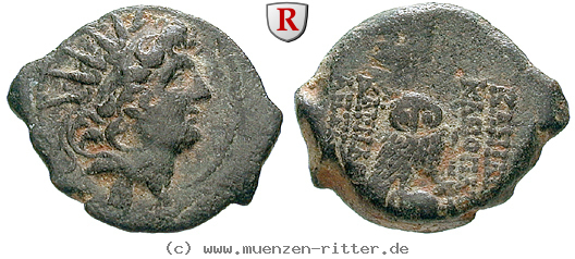 Klicken Sie auf das Bild um es auf Ihrem Rechner zu speichern syrien-kleopatra-und-antiochos-viii-bronze/66340.jpg