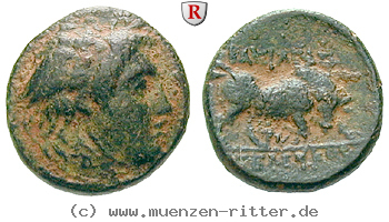 syrien-seleukos-i-bronze/39553.jpg