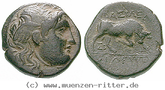 Klicken Sie auf das Bild um es auf Ihrem Rechner zu speichern syrien-seleukos-i-bronze/egri10732.jpg
