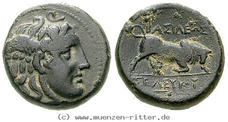 Klicken Sie auf das Bild um es auf Ihrem Rechner zu speichern syrien-seleukos-i-bronze/egri7790.jpg