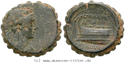 Klicken Sie auf das Bild um es auf Ihrem Rechner zu speichern syrien-seleukos-iv-bronze/egri8157.jpg