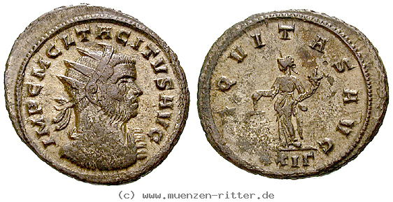 Klicken Sie auf das Bild um es auf Ihrem Rechner zu speichern tacitus-antoninian/19561.jpg