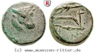 Klicken Sie auf das Bild um es auf Ihrem Rechner zu speichern taurische-chersones-bronze/51173.jpg