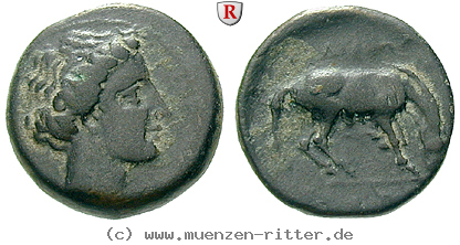 Klicken Sie auf das Bild um es auf Ihrem Rechner zu speichern thessalien-bronze/38971.jpg