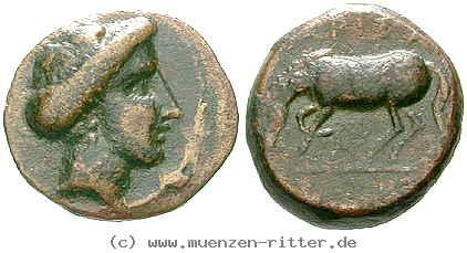 Klicken Sie auf das Bild um es auf Ihrem Rechner zu speichern thessalien-bronze/egri9039.jpg