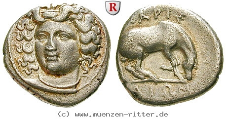 Klicken Sie auf das Bild um es auf Ihrem Rechner zu speichern thessalien-drachme/53297.jpg