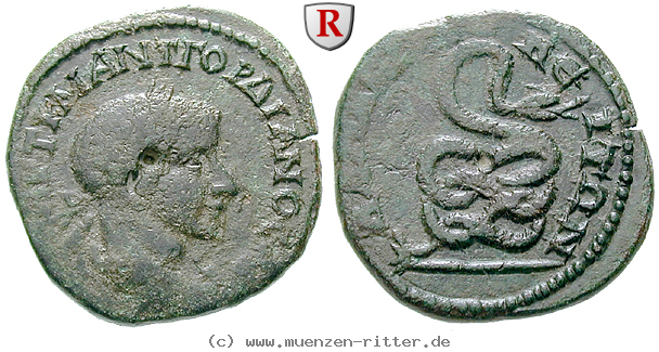 Klicken Sie auf das Bild um es auf Ihrem Rechner zu speichern thrakien-gordianus-iii-bronze/32678.jpg