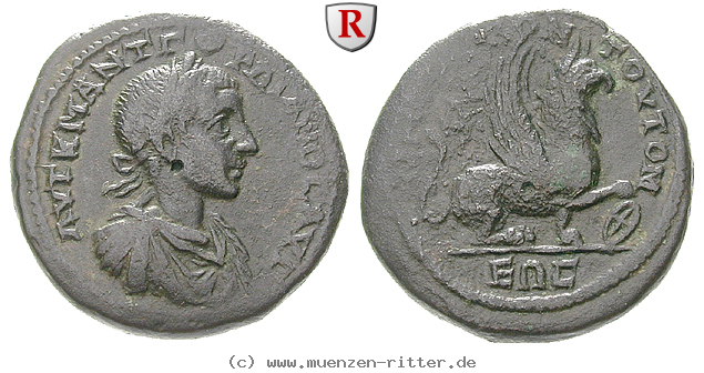 Klicken Sie auf das Bild um es auf Ihrem Rechner zu speichern thrakien-gordianus-iii-bronze/erom3576.jpg