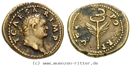 Klicken Sie auf das Bild um es auf Ihrem Rechner zu speichern titus-caesar-semis/20212.jpg