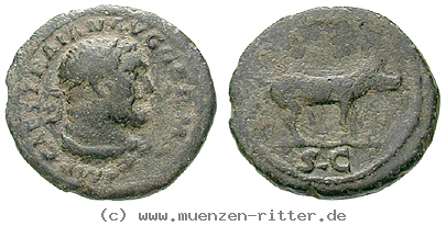 Klicken Sie auf das Bild um es auf Ihrem Rechner zu speichern traianus-quadrans/11351.jpg