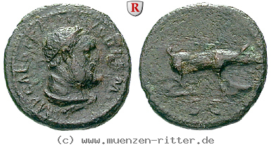 Klicken Sie auf das Bild um es auf Ihrem Rechner zu speichern traianus-quadrans/64171.jpg