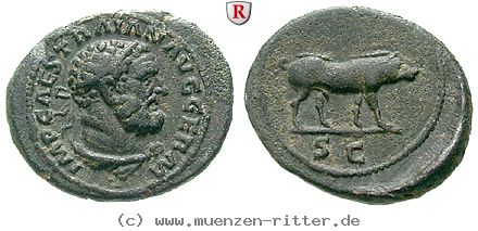 Klicken Sie auf das Bild um es auf Ihrem Rechner zu speichern traianus-quadrans/90144.jpg
