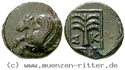 Klicken Sie auf das Bild um es auf Ihrem Rechner zu speichern troas-bronze/13694.jpg