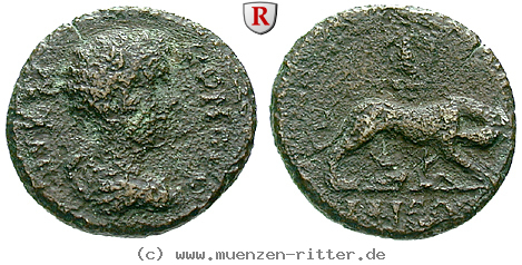 troas-commodus-bronze/61250.jpg