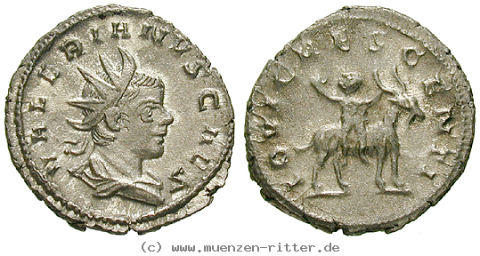 Klicken Sie auf das Bild um es auf Ihrem Rechner zu speichern valerianus-ii--caesar-antoninian/50283.jpg