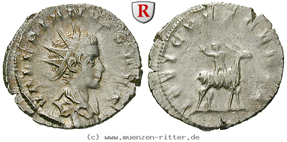Klicken Sie auf das Bild um es auf Ihrem Rechner zu speichern valerianus-ii--caesar-antoninian/64324.jpg