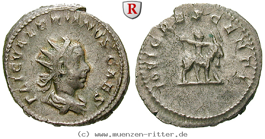 Klicken Sie auf das Bild um es auf Ihrem Rechner zu speichern valerianus-ii--caesar-antoninian/94458.jpg