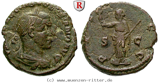 Klicken Sie auf das Bild um es auf Ihrem Rechner zu speichern volusianus-as/37715.jpg