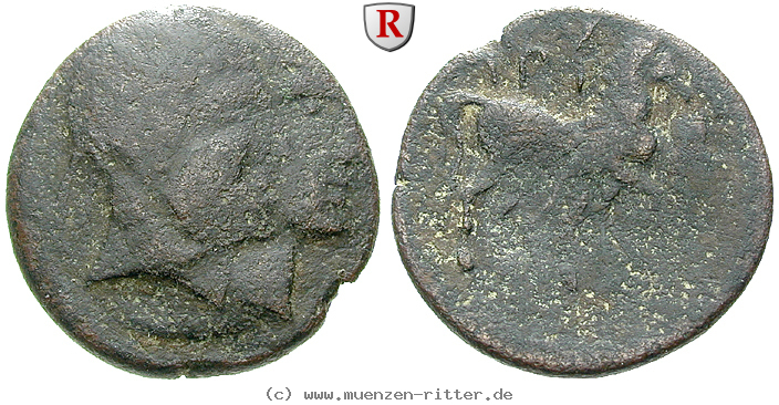 Klicken Sie auf das Bild um es auf Ihrem Rechner zu speichern zeugitana-bronze/24522.jpg