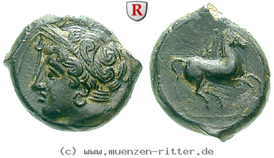 zeugitana-bronze/37968.jpg