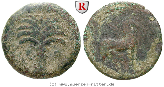 Klicken Sie auf das Bild um es auf Ihrem Rechner zu speichern zeugitana-bronze/38716.jpg