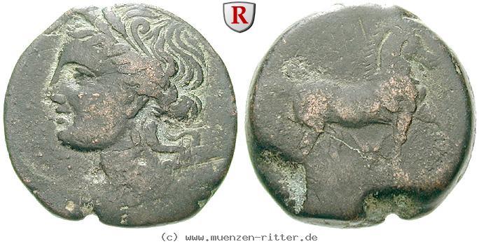 Klicken Sie auf das Bild um es auf Ihrem Rechner zu speichern zeugitana-bronze/43344.jpg