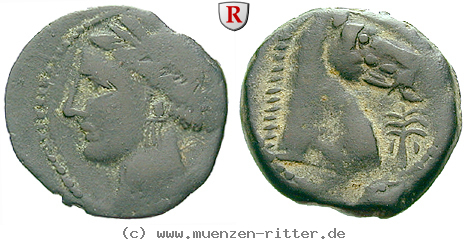 Klicken Sie auf das Bild um es auf Ihrem Rechner zu speichern zeugitana-bronze/55351.jpg