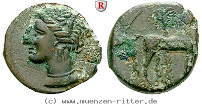 zeugitana-bronze/55352.jpg