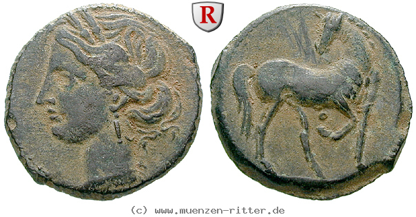 zeugitana-bronze/87025.jpg