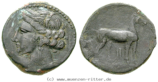 Klicken Sie auf das Bild um es auf Ihrem Rechner zu speichern zeugitana-bronze/egri6376.jpg