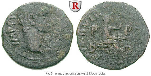 Klicken Sie auf das Bild um es auf Ihrem Rechner zu speichern zeugitana-livia-frau-des-augustus-as/erom5598.jpg