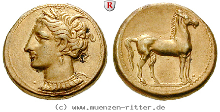 Klicken Sie auf das Bild um es auf Ihrem Rechner zu speichern zeugitana-stater/18532.jpg