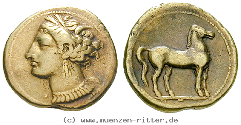Klicken Sie auf das Bild um es auf Ihrem Rechner zu speichern zeugitana-stater/20757.jpg