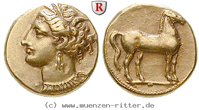 Klicken Sie auf das Bild um es auf Ihrem Rechner zu speichern zeugitana-stater/23512.jpg